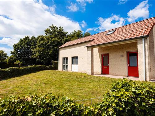 Bungalow - 16 personer -  - 6644 KX - Ewijk