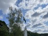 Bilde 23 - Ude