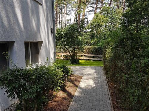 Holiday apartment - 4 persons -  - Kiefernhain - 17213 - Fünfseen Ot Lenz-Süd