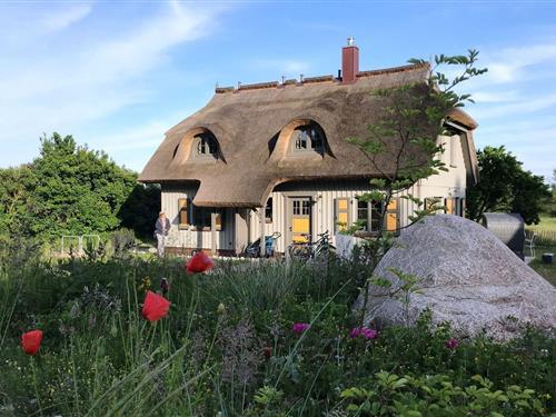 Fritidshus - 2 personer -  - Klein Stresow - 18581 - Klein Stresow