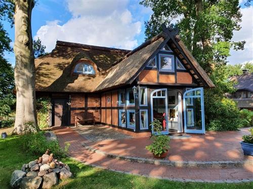 Feriehus - 6 personer -  - Staufer Weg - 21357 - Barum