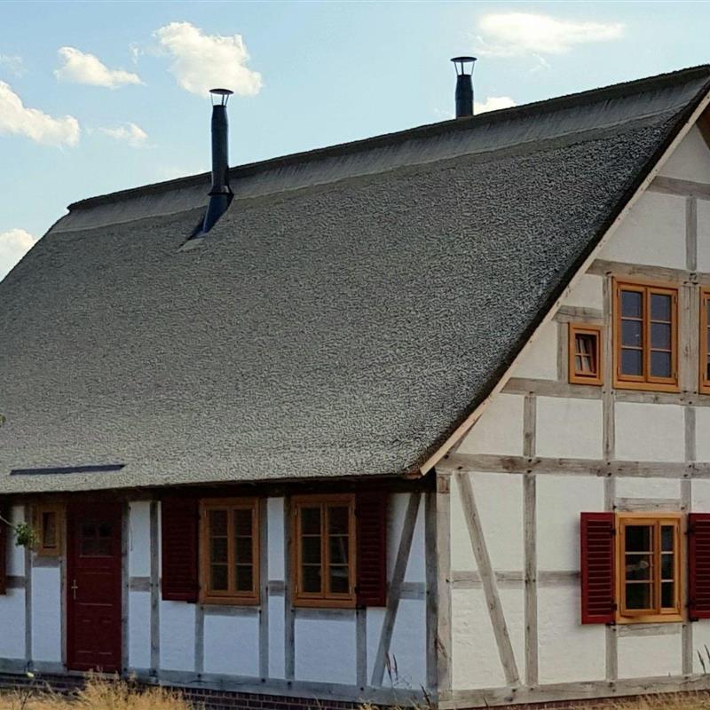 Ferielejlighed - 4 personer -  - Altwarp - 17375