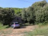 Billede 11