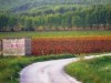 Bilde 35 - Inne