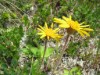 Bild 96