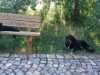 Bild 19