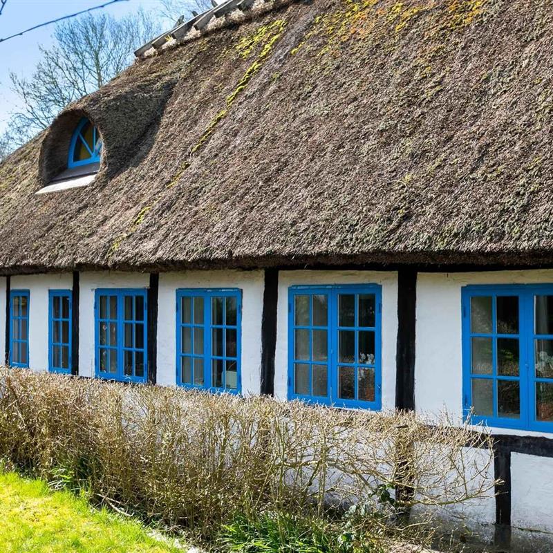 Villa - 6 Personen -  - Askøvej - 4920 - Søllested