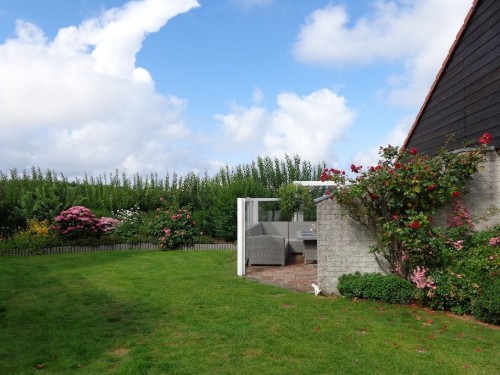 Holiday home - 5 persons -  - 1737 - Julianadorp