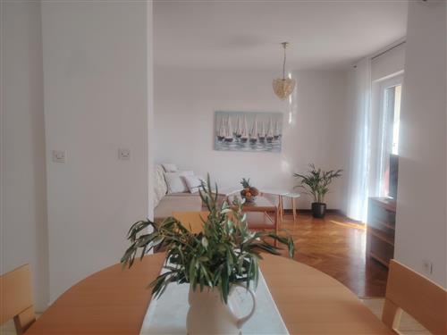 Holiday apartment - 4 persons -  - blato - 21420 - Bol