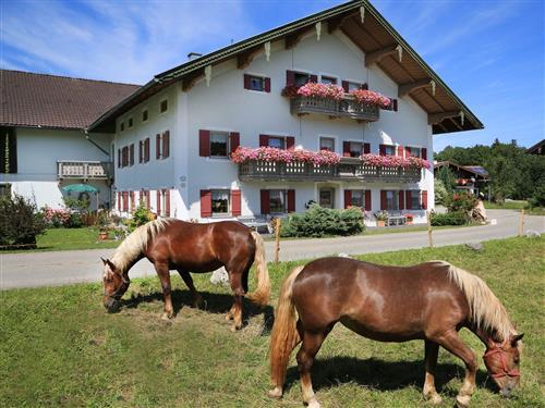 Ferienhaus - 5 Personen -  - Heutauer Straße - 83313 - Siegsdorf