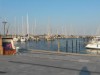 Billede 17