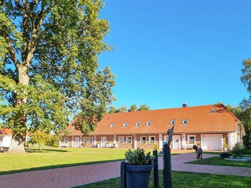 Sommerhus - 5 personer -  - Reiterhof - Passow Ot Charlottenhof - 19386 - Passow Ot Charlottenho