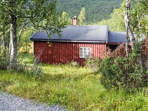 Fritidshus - 7 personer -  - Hjerdalsvegen - Hjerdalen - 3660 - Rjukan
