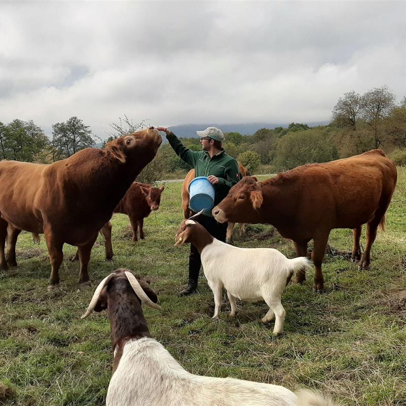 Ferielejlighed - 2 personer -  - Kreuzbergstraße - 97657 - Sandberg