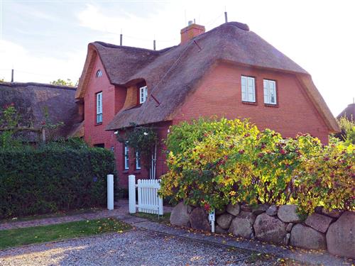 Ferielejlighed - 3 personer -  - Dörpstrat - 25938 - Oevenum