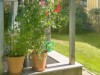 Bild 19