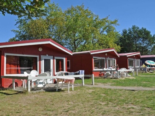 Feriehus - 6 personer -  - 16831 - Zechlinerhütte