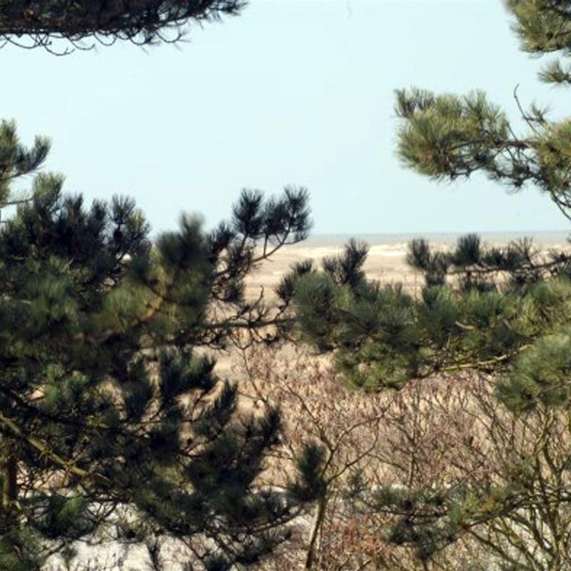 Ferielejlighed - 2 personer -  - Strandpromenade - 25826 - St. Peter-Ording