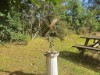 Bild 24 - Ude