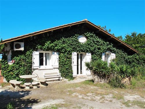 Holiday apartment - 4 persons -  - Lacanau - 33680