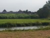 Bild 20
