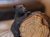 Bild 19 - Ude