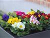 Bild 22