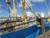 Billede 19