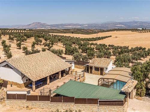 Holiday home - 9 persons -  - ctra.A-405 - 18310 - Salar