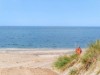 Billede 33