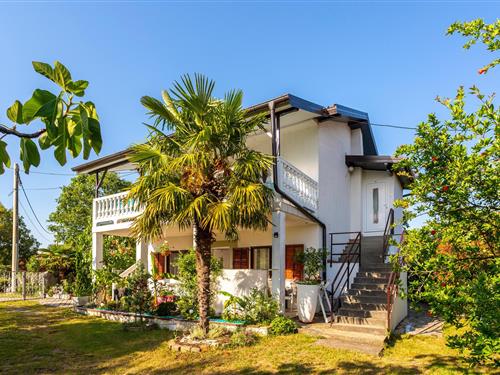 Holiday apartment - 3 persons -  - Gabonjin - Krk-Gabonjin - 51511 - Gabonjin