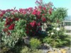 Bild 16