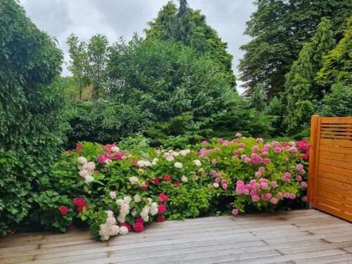 Sommerhus - 4 personer -  - 25764 - Wesselburen