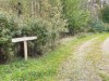 Bild 8 - Ude