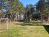 Bild 5 - Ude