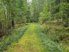Bild 37 - Ude