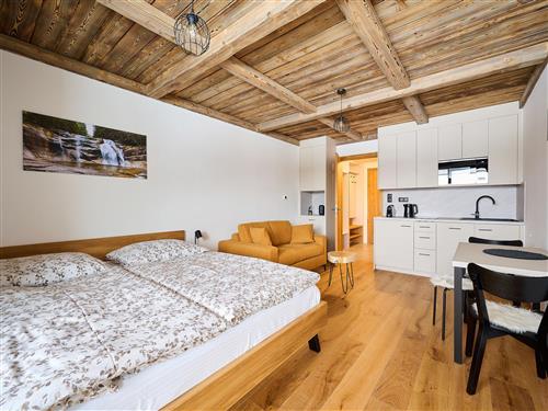 Ferielejlighed - 3 personer -  - Harrachov - 512 46