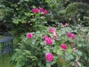 Bild 28