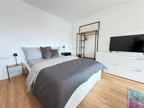 Ferieleilighet - 2 personer -  - Schwabstraße - 88046 - Friedrichshafen