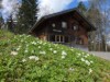 Bild 25