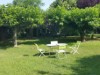 Bilde 5