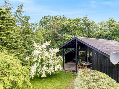 Sommerhus - 6 personer -  - Skikkild Bjerge - Arrild - 6520 - Toftlund