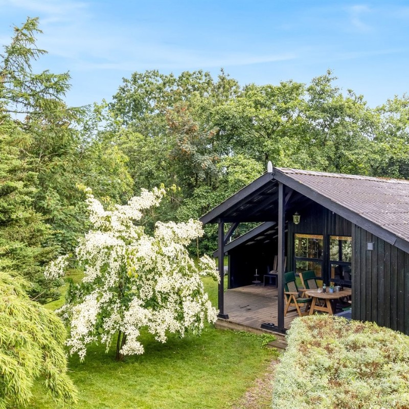 Sommerhus - 6 personer -  - Skikkild Bjerge - Arrild - 6520 - Toftlund