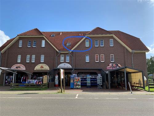 Ferielejlighed - 4 personer -  - Koogstraße - 25718 - Friedrichskoog / Spitze