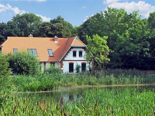 Ferienhaus - 4 Personen -  - Klein Köthel - 17166 - Hohen Demzin