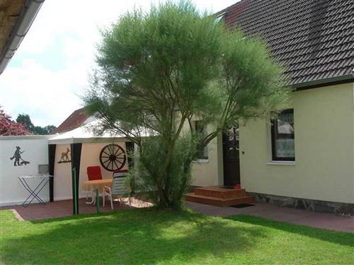 Holiday Home/Apartment - 4 persons -  - Fürstenberger Weg - 17255 - Wesenberg