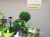 Billede 2