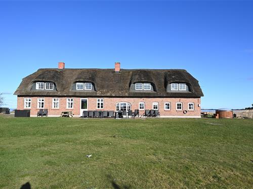 Sommerhus - 20 personer -  - Felstedvej - Nr. Hede Øst - 6990 - Ulfborg