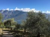 Bild 16