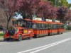 Billede 12